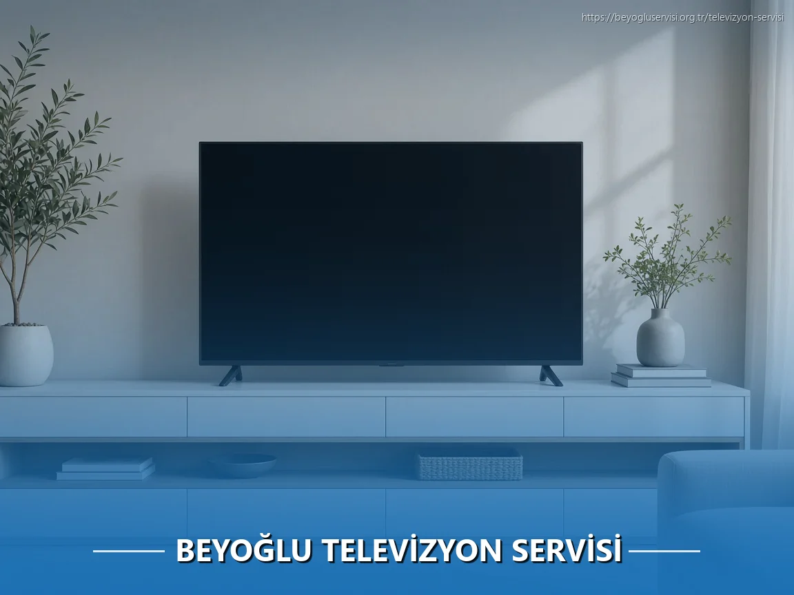 Beyoğlu Televizyon Servisi