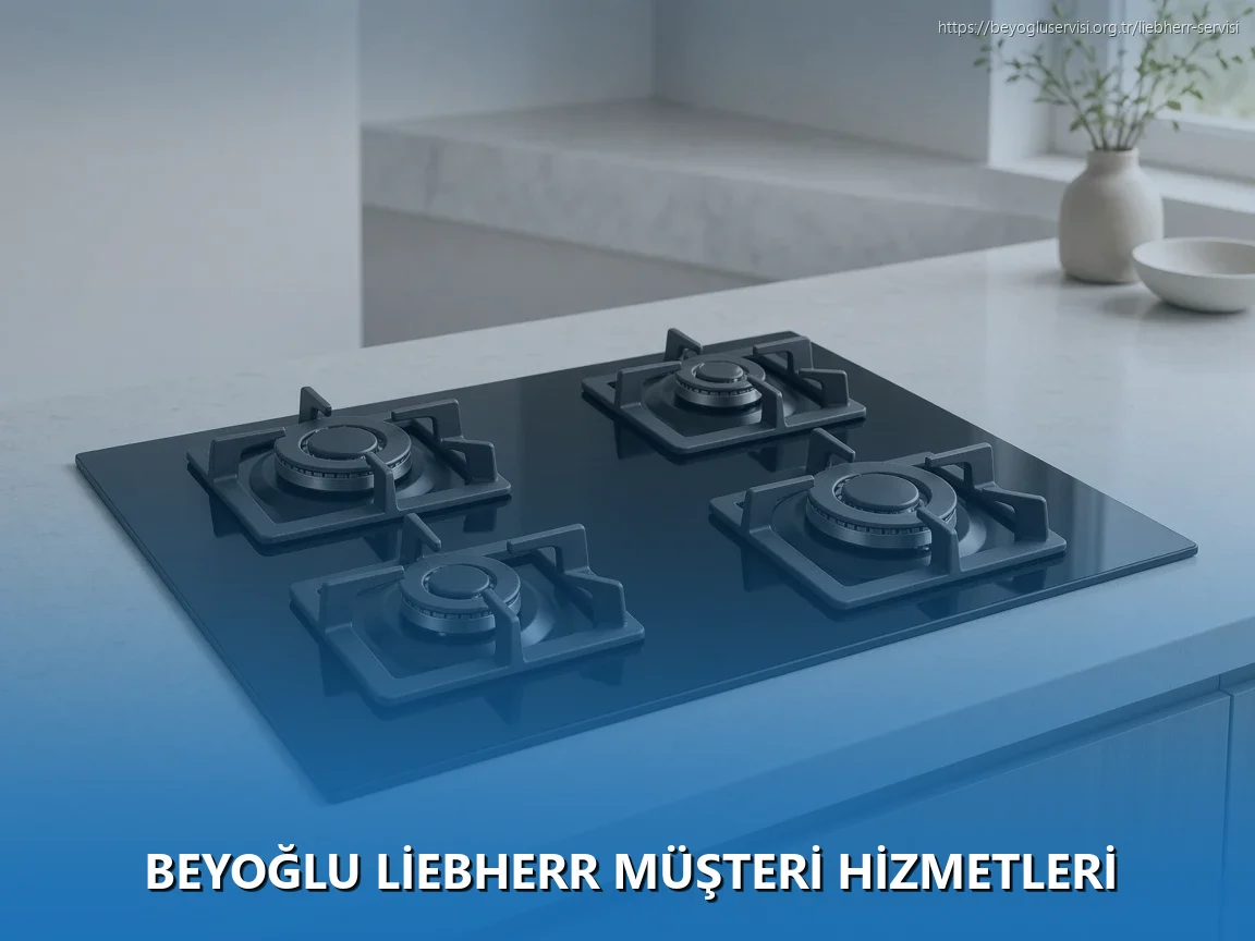 Beyoğlu Liebherr Müşteri Hizmetleri